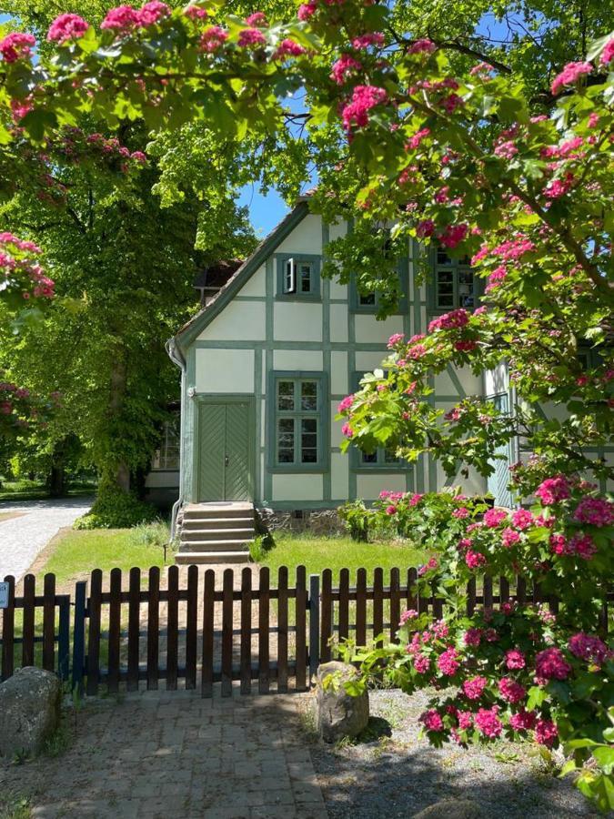 Jagdschloss Friedrichsmoor Neustadt-Glewe Esterno foto